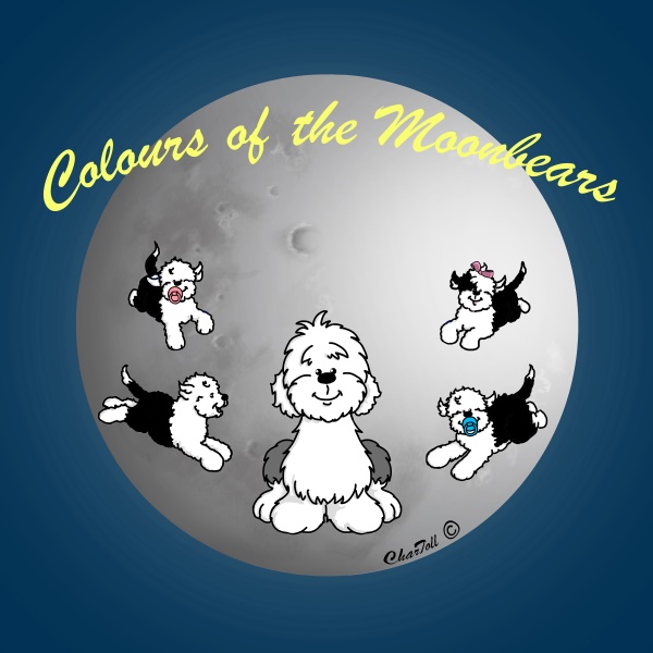 Logo2_colours_of_the_moonbears_1641626386.jpg