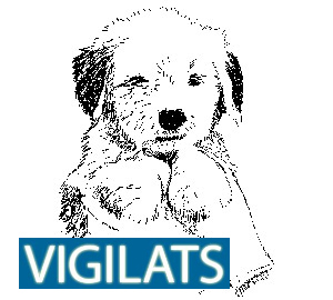 Vigilats_Logo_1431024954.jpg