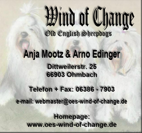 Wind-of-Chance-Logo_1353234154.jpg
