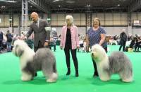 Best of Breed/Res Best of Breed