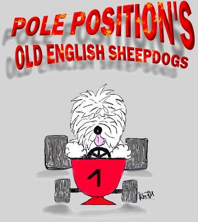 logo-pole-positions_1311012362.jpg