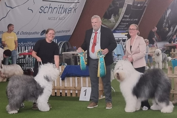 Sieger Hohenlockstedt