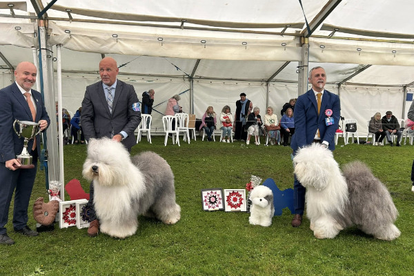 Sieger EURO-OES-SHOW