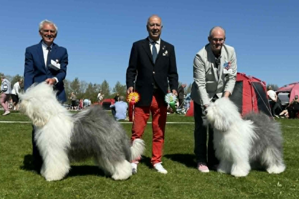 Sieger Roskilde